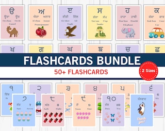 Punjabi Alphabet Karteikarten für Kinder, Gurmukhi Alphabet Karteikarten mit Englisch & Punjabi, Punjabi Montessori Geschenk, nur Download