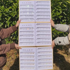 Könnte beinhalten: Vier Holztafeln mit verschiedenen Ohrringdesigns. Jede Tafel ist in Abschnitte unterteilt, die mehrere Ohrringpaare in verschiedenen Formen und Stilen zeigen, darunter rund, oval und dreieckig. Die Ohrringe sind in Gold- und Silbertönen gehalten.