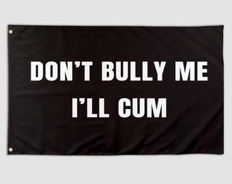 Funny Flag Don't Bully Me Cool Meme Flag Banner 3X5 Ft College Dorm Room Bedroom Mancave Frat Girls Wall Hangings