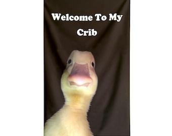 Funny Flag Welcome To My Crib Black Cool Meme Flag Banner 3X5 Ft College Dorm Room Bedroom Girls Women Wall Hangings