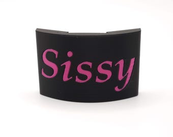 Add-On Locking Black Hasps for 1.5" Collar
