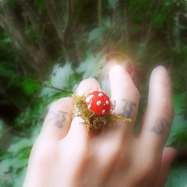 The Marvelous Mushroom (woodland mossy ring)