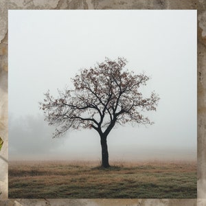 Oak Tree Wall Art, Forest Wall Art, Nature Wall Art, Nature-Inspired Art, Tree Wall Art Woodland Wall Art, Fall Wall Art, Aesthetic Wall Art