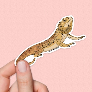 May include: A sticker of a cartoon bearded dragon lizard with a light brown and orange color scheme. The lizard is looking up and has its mouth slightly open. The sticker has the text "FLASH OF CULTURE" printed on it.