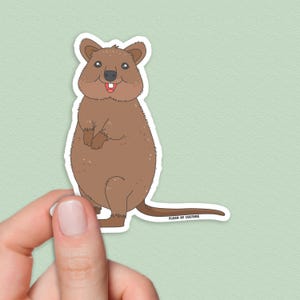 Peut inclure: Un autocollant représentant un quokka brun avec un contour blanc. Le quokka sourit, la bouche ouverte, et on aperçoit une petite dent blanche. L'autocollant porte l'inscription "Flash of Culture" en bas.