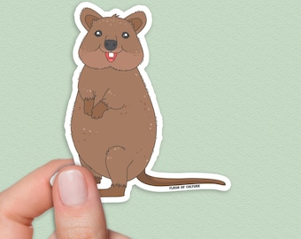 Puede incluir: Una pegatina de quokka marrón con un contorno blanco. El quokka está sonriendo con la boca abierta y se le ve un pequeño diente blanco. La pegatina tiene el texto "Flash of Culture" en la parte inferior.