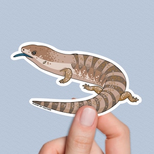 Pegatina de lagarto de lengua azul: vinilo de reptil australiano