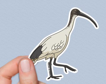 White Ibis Sticker, Australian Bin Chicken Decal, Native Australian Bird Art, Gifts from Australia, Aussie Wildlife Sticker, Bird Lover Gift