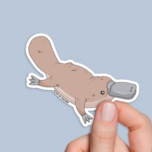 Peut inclure: Un ornithorynque brun avec un bec gris, nageant les pattes tendues. L'ornithorynque est une illustration de dessin animé avec un contour blanc. Le texte "Flash of Culture" est imprimé sous l'ornithorynque.