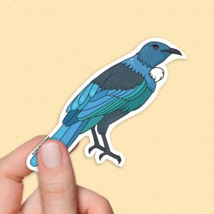 Tui Bird Sticker, Native New Zealand Birds, Travel Gift, NZ Souvenir, Bird Lover Decal, Waterproof Vinyl Laptop Water Bottle