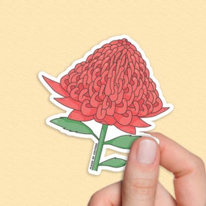 Waratah Flower Sticker, Native Australian Flora Decal, Aussie Botanical Art, Gifts for Flower Lovers, Australian Nature Sticker, Floral Gift