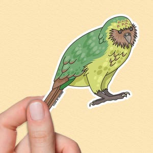 Op de afbeelding: Een groene en gele sticker van een papegaai met bruine veren en een bruine snavel. De papegaai kijkt naar de linkerkant van de afbeelding. De sticker heeft een witte omtrek en de tekst "Flash of Culture" is afgedrukt in de rechterbenedenhoek.