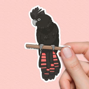 Pegatina de cacatúa negra: regalo de viaje impermeable de ave australiana