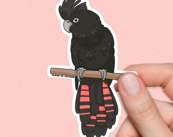 Black Cockatoo Sticker, Native Australian Bird Decal, Aussie Wildlife Art, Australian Travel Gift, Bird Lover Present, Souvenir Sticker
