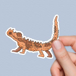 Pegatina de lagarto diablo espinoso: arte de reptiles australianos, calcomanía impermeable