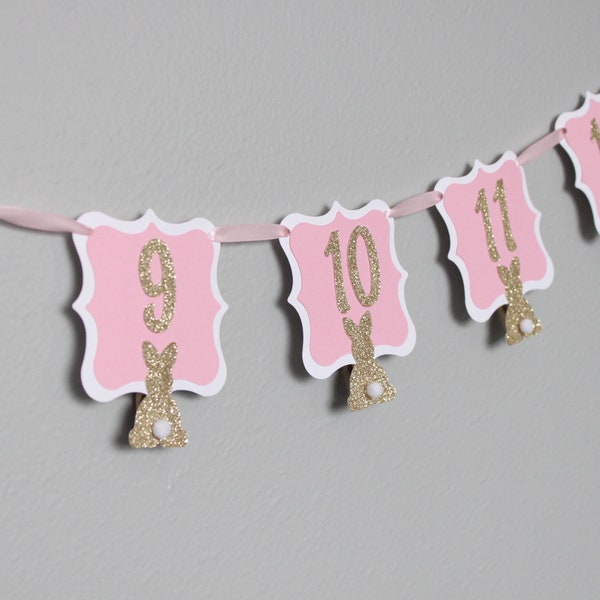 Some bunny is one first birthday monthly photo banner. Pink white gold glitter. Baby girl spring birthday photo banner