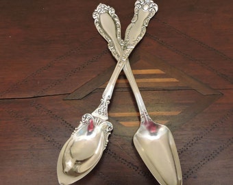 Vintage Fruit Spoons With Pretty Handles