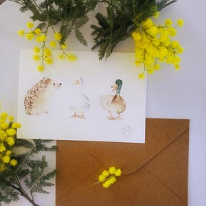 Carte postale - Canard et Hérisson - Illustration aquarelle - impression A6