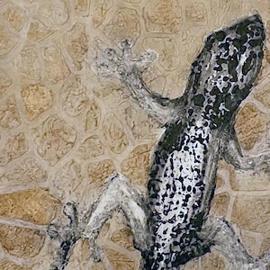 Original 3D Black-and-White Gecko on Colorful Limestone Walls – Sustainable Wooden Canvas