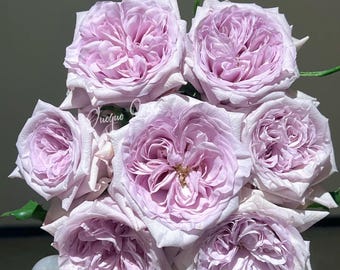 May include: A bouquet of seven light purple roses with tightly packed petals. The roses are in full bloom, showcasing their intricate layers and soft color. The image is well-lit, highlighting the delicate texture and form of the flowers. The background is a muted gray.