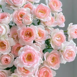 Peut inclure: Un bouquet dense composé de nombreuses roses rose clair aux pétales doux et superposés, passant au blanc crème sur les bords. Chaque fleur présente un cœur jaune vif avec des étamines visibles, sur des tiges et un feuillage verts.