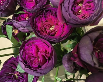 Rose Coffret. 首饰盒 Japanese Rose. Continue Blooming Cut Rose