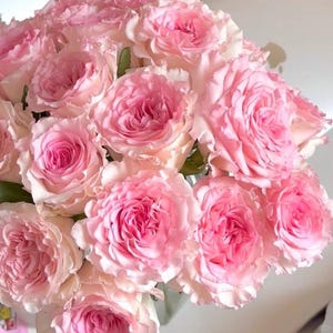 Puede incluir: Un denso ramo de rosas de color rosa claro con múltiples capas de pétalos suaves y ondulados. Las flores están dispuestas muy juntas, mostrando varios tonos de rosa pálido y rubor, con algunas hojas verdes visibles entre las flores.