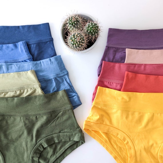 Rainbow Organic Cotton Underwear, Bamboo Lingerie, Elastic Free Panties, Natural  Briefs, Stretchy Comfortable Undies, Mid High Rise 