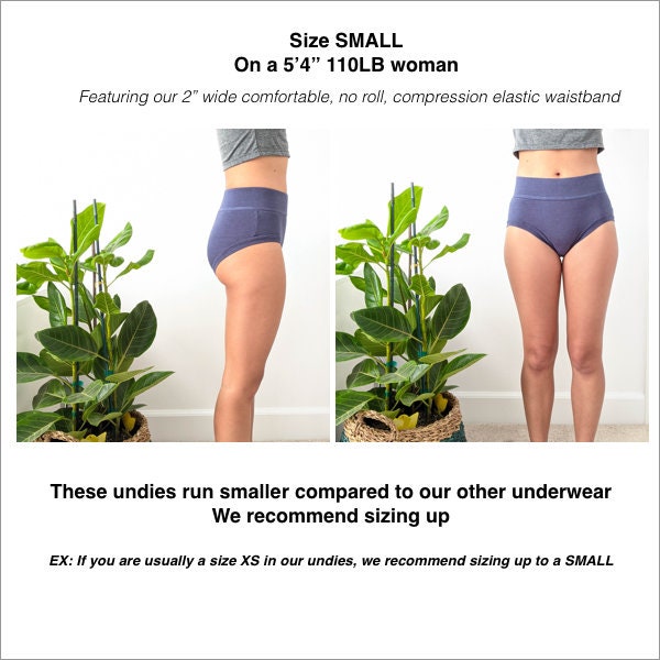 Comfortable Compression Panties, Womens Shapewear, Womens Underwear,  Highwaisted Underwear, High Waisted, Organic Bamboo Cotton Briefs NEW -   Canada