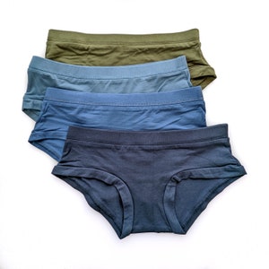 Super Soft Underwear, Womens Panties, Natural Undies, Organic Cotton, Bamboo Briefs, Solid Jersey Undies, Rainbow Colors, Teen Underwear