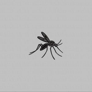 May include: A black mosquito illustration with detailed wings, legs, and antennae. The insect is centered against a plain, light grey background. The mosquito is depicted in a realistic style.