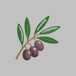 Olive branch machine embroidery design, Black olives Embroidery File, Food Design, Digital file, Instant download, 4 Sizes