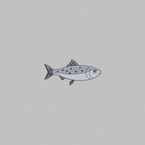 Sardine Embroidery Design, Mini Sardine Fish Design File Machine Embroidery, Sardines Embroidery File, Instant Download, 3 Sizes
