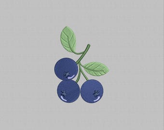 Blueberry embroidery design, Fruit machine embroidery File, Blueberries embroidery pattern, fruits embroidery, Instant download, 4 Sizes