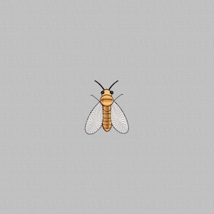 May include: Embroidered insect design featuring a tan body, white wings with black outlines, and black antennae. The insect is centered on a gray background. This design could be used for patches, apparel, or other craft projects.