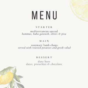 Dinner Party Kit - Mediterranean