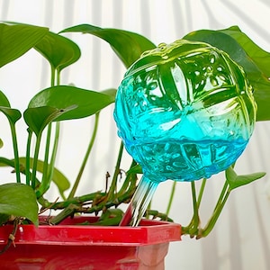 Iridescent Glass Plant Watering Globes: Self-Watering Irrigation Balls