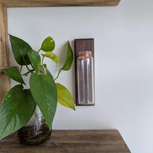 Wall Mounted Propagation, Hanging Propagation Vase, Wall Bud Vase, Mounted Planter