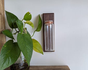 Wall Mounted Propagation, Hanging Propagation Vase, Wall Bud Vase, Mounted Planter