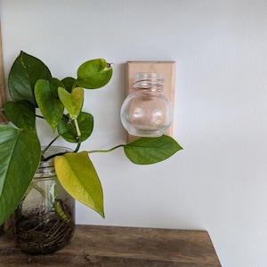 Small Wall Mounted Propagation, Hanging Propagation Vase, Wall Bud Vase, Mounted Planter