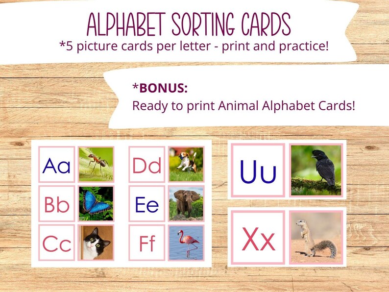 Montessori Alphabet Sorting Cards Printable | ABC Matching Game| Letter ...