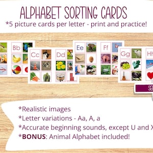 May include: Alphabet sorting cards with realistic images and letter variations. Each card features five picture cards per letter for print and practice. Includes an animal alphabet bonus. The cards are displayed on a wooden surface.