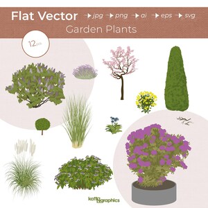 Illustrazioni di piante da giardino - Grafica vettoriale piatta - 12 piante, cespugli, piante perenni: colore, disegno al tratto e silhouette - ai, png, jpg, eps, svg