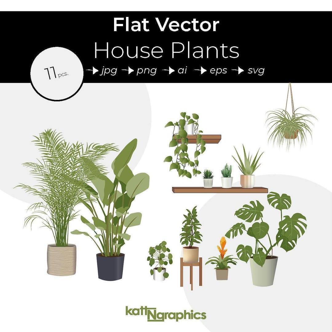 House Plants Vector Clipart: Flat Graphic Illustrations (ai, Png, Jpg ...