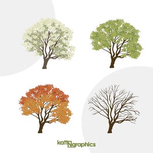 Trees Four Seasons - Flat Vector Graphic Illustration - 32 Clipart ...