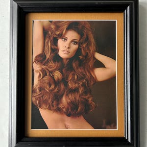 1970 Sexy Raquel Welch original framed pinup print 12x8