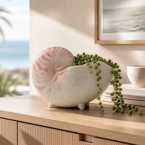 Könnte beinhalten: Ein Keramik-Übertopf in Form eines Nautilus-Gehäuses mit weißer Basis und zarten rosa Farbverläufen an der Spirale. Das Gehäuse hat eine gerippte Textur, steht auf drei kleinen Füßen und enthält eine hängende grüne Erbsenpflanze.