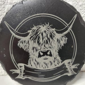 Highland shaggy cow coasters