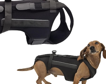 May include: Black dog harness with adjustable straps and a padded chest piece. The harness is designed to help support a dog's back and legs.