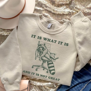 Suéter &quot;Es lo que es&quot;, camiseta de salud mental, sudadera con meme, camiseta divertida de mapache, &quot;Es lo que es y no es genial&quot;, camiseta de Trash Panda